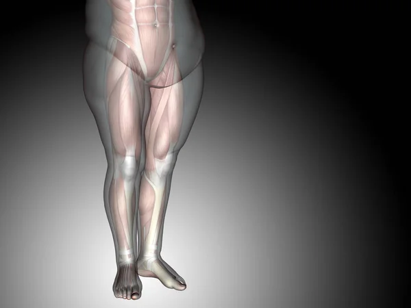 Dieta de grasa 3D con sobrepeso vs ajuste delgado —  Fotos de Stock
