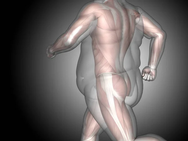 3D fedt overvægtige vs slank fit kost - Stock-foto