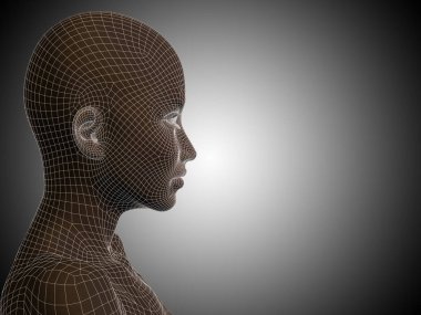 insan kadın kafası 