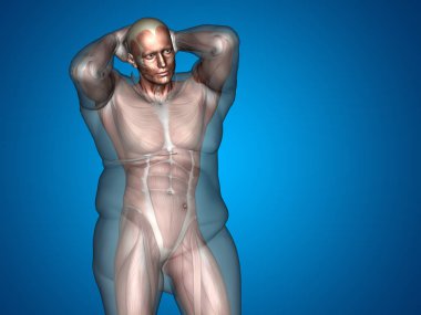 3D şişman kilolu vs ince uygun diyet 