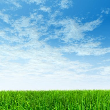  Taze ve doğal çim sahası  