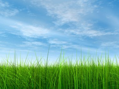  Taze ve doğal çim sahası  