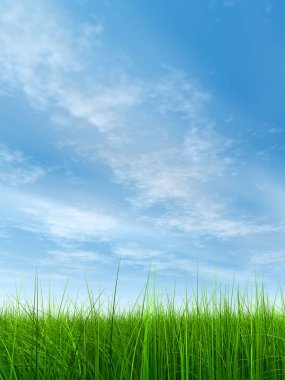  yeşil, taze ve doğal çim sahası