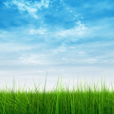  Taze ve doğal çim sahası  