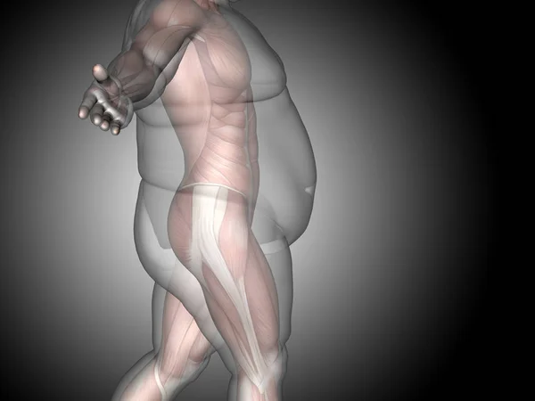 3D grasso sovrappeso vs dieta slim fit — Foto Stock