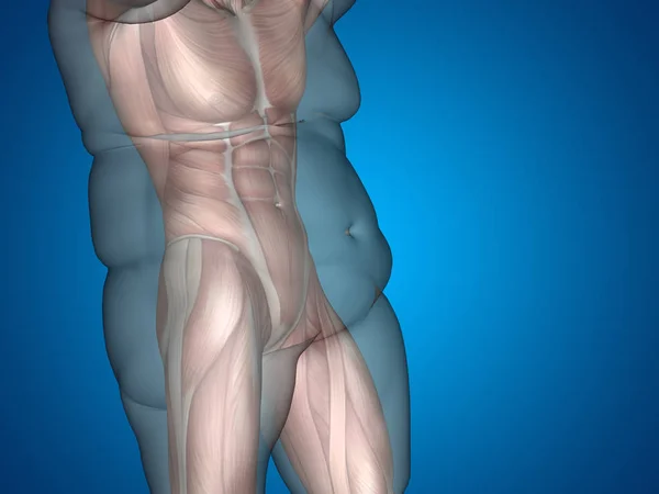 Dieta de grasa 3D con sobrepeso vs ajuste delgado — Foto de Stock