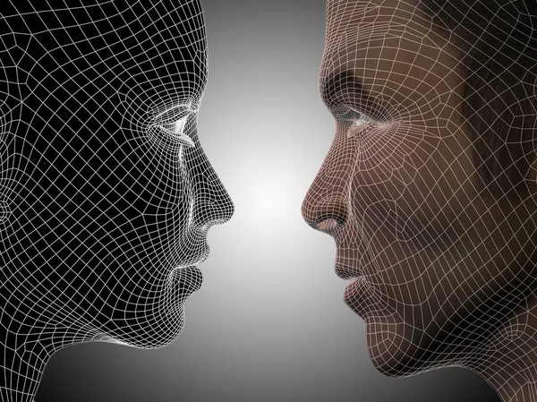 Wireframe or mesh human male and female heads — Stock Photo, Image