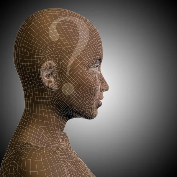 wireframe human female head