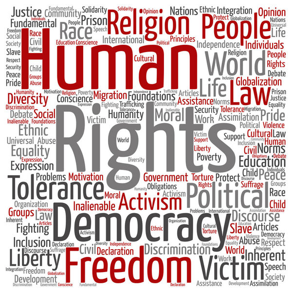 Концепция или концептуальные права человека
