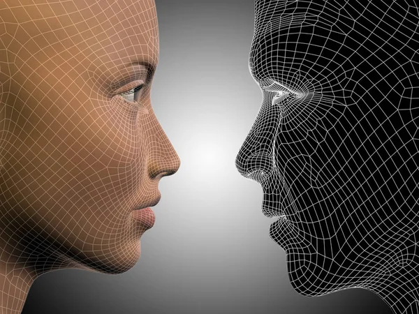 Wireframe or mesh human male and female heads — Stock Photo, Image