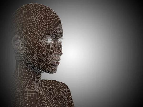 Wireframe young human female head — Stock Photo, Image