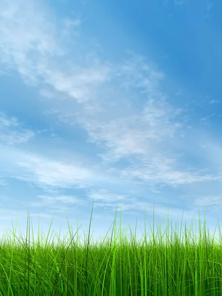 Green, fresh and natural grass field — Stock Photo, Image