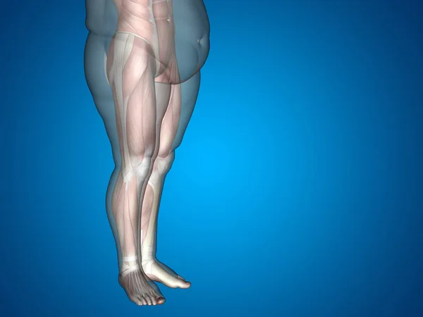3D жир лишний вес против стройный диета — стоковое фото