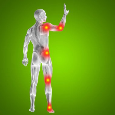 insan vücudu anatomisi ile ağrı belirtileri