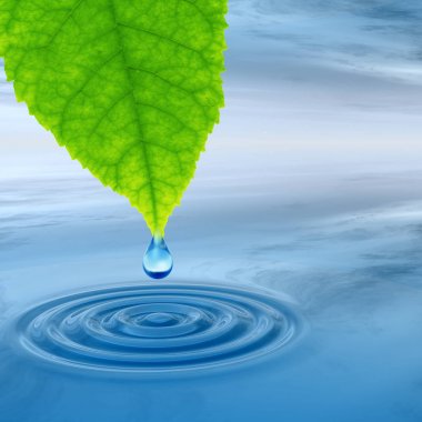 Temiz kaynak suyu veya çiğ bırakın 