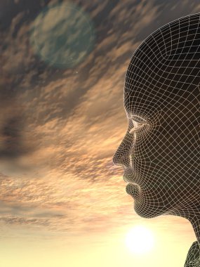 Kavramsal kadın baş