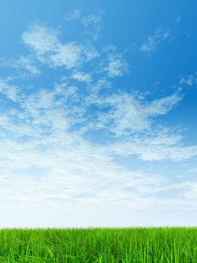 Taze ve doğal çim sahası