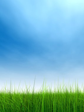 Taze ve doğal çim sahası