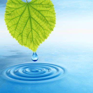 Temiz kaynak suyu veya çiğ bırakın 