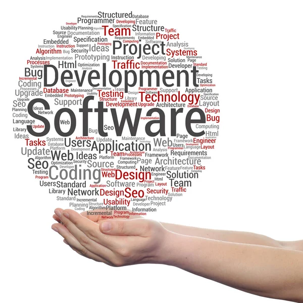 Software-Entwicklungsprojekt — Stockfoto