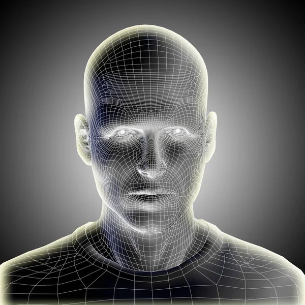 Wireframe νεαρό αρσενικό ανθρώπινο πρόσωπο — Φωτογραφία Αρχείου
