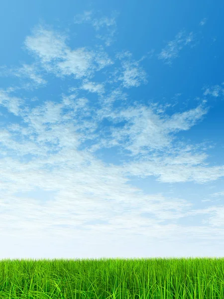 Taze ve doğal çim sahası