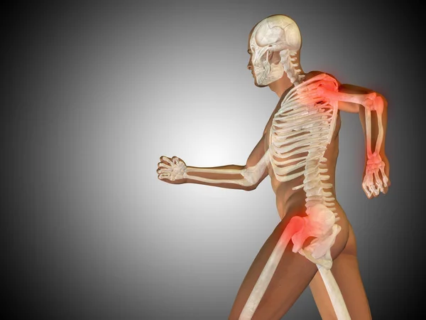 Emberi futó anatómiai modell — Stock Fotó