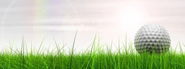  Çimlerin üzerinde golf topu