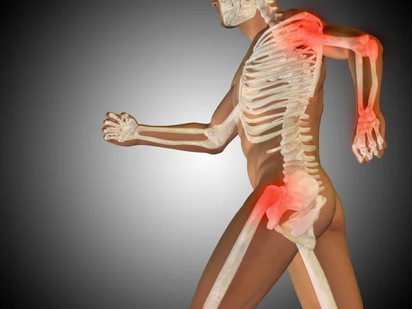 Human running anatomy model — Stock Photo, Image