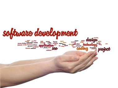 yazılım geliştirme projesi