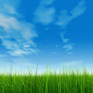 Taze ve doğal çim sahası