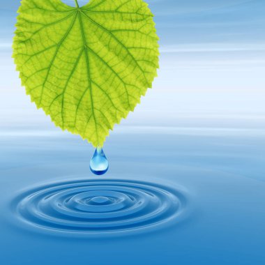 Temiz kaynak suyu veya çiğ bırakın 