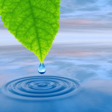 Temiz kaynak suyu veya çiğ bırakın 