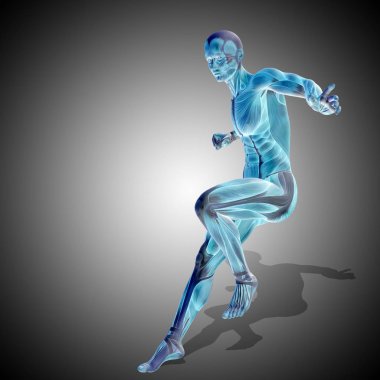 güçlü erkek vücudu anatomisi