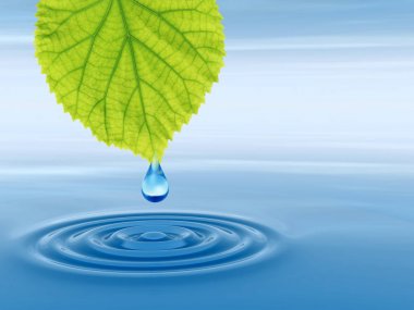 Temiz kaynak suyu veya çiğ bırakın 