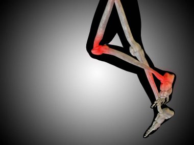 illüstrasyon insan anatomisi 