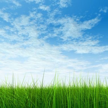 Taze ve doğal çim sahası