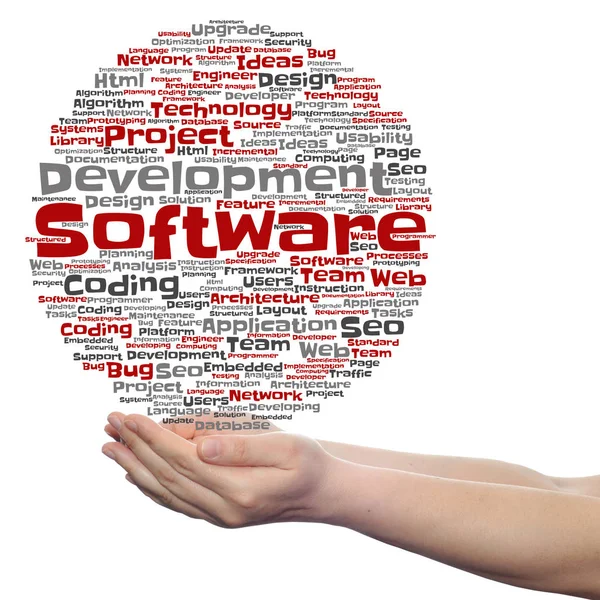 Software-ontwikkelingsproject — Stockfoto