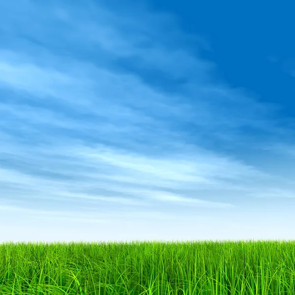 Câmp de iarbă proaspătă și naturală — Fotografie, imagine de stoc