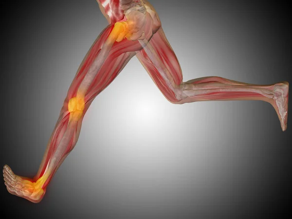 Modelo de anatomía humana corriendo —  Fotos de Stock