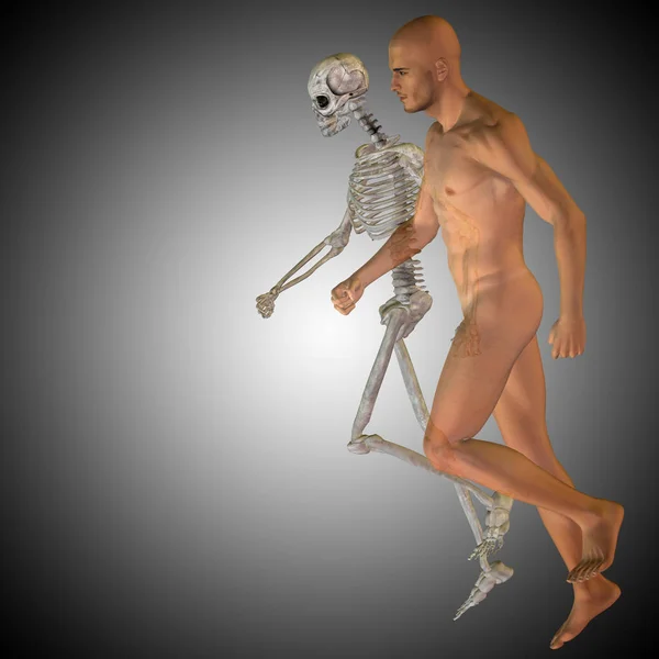 Emberi futó anatómiai modell — Stock Fotó
