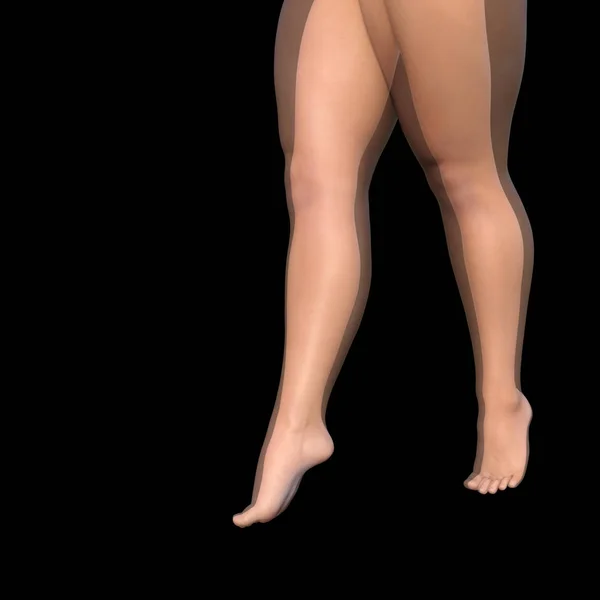 3D απεικόνιση λίπος υπέρβαροι vs slim — Φωτογραφία Αρχείου