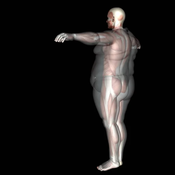 Ilustración 3D gordo sobrepeso vs delgado —  Fotos de Stock