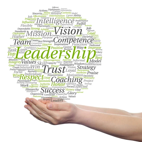 Leadership word cloud — Stock Photo, Image