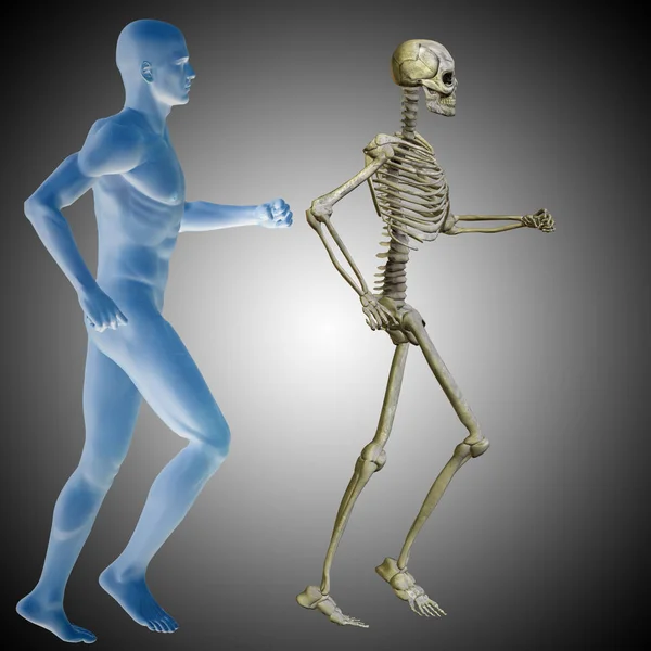 Conceptual human man body chest — Stock Image Conceptual human man body chest Stock Photo