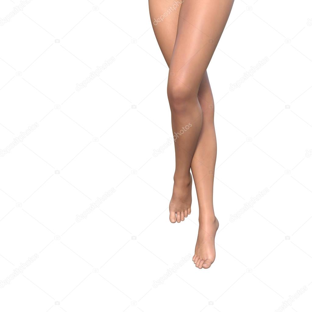 beautiful female legs