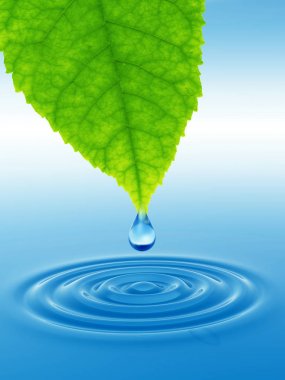 Temiz kaynak suyu veya çiğ bırakın 