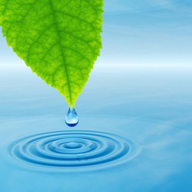 Temiz kaynak suyu veya çiğ bırakın 