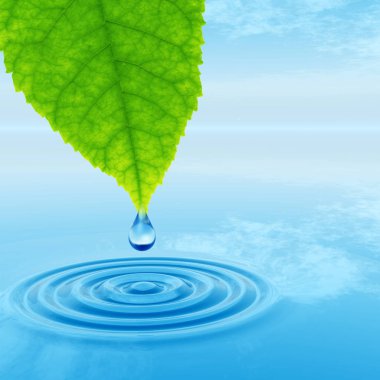 Temiz kaynak suyu veya çiğ bırakın 