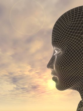 Kavramsal kadın baş